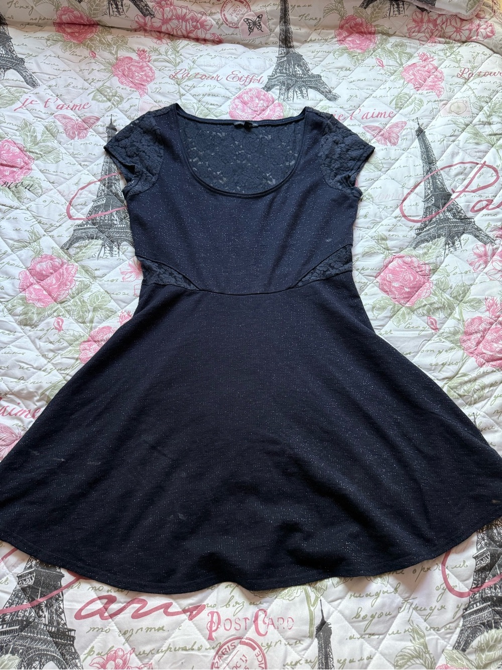 American Eagle Outfitters Navy Lace Knit Dress